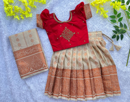 Hands Stock : Exquisite Latte and Red Aari Work Lehenga - 6 Yr